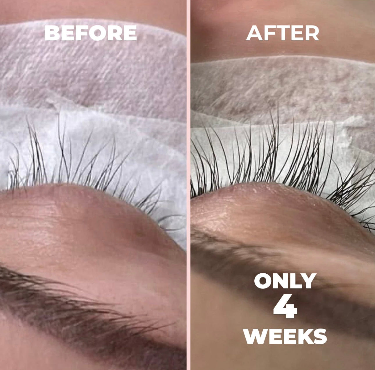 Lash Growth Serum